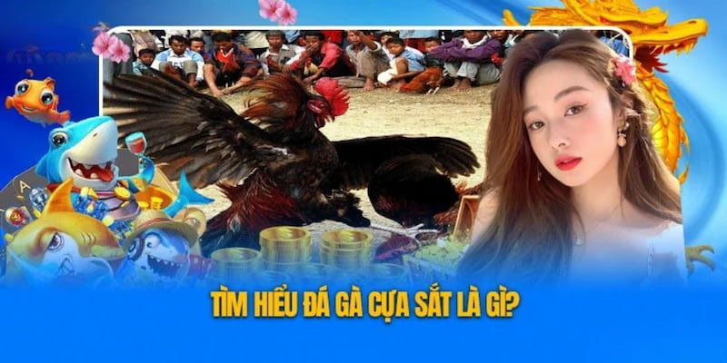 Giới thiệu về Đá gà cựa sắt